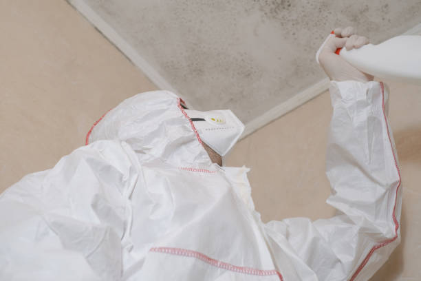 Best Crawl Space Mold Removal  in El Lago, TX