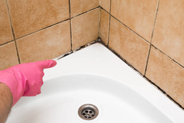 Best Mold Cleaning Services  in El Lago, TX